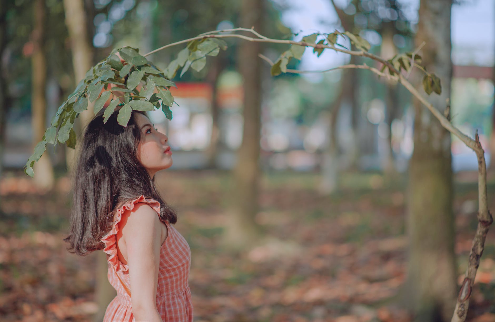 女生问你在干嘛怎么回复（这样回复有可能虏获她的芳心）